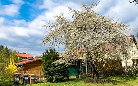Gemütliches, heimeliges Ferienhaus